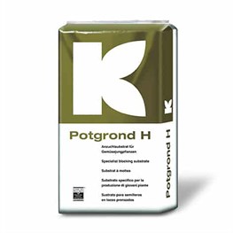 SUBSTRATO KLASMANN POTGROND H Lt 70